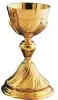Imagen del producto 1000150000904