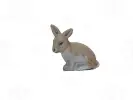 Imagen del producto 1000150137426
