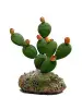 Imagen del producto 1000150137624