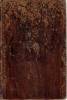 Imagen del producto 1024480004586-130037