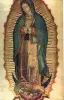 Imagen del producto 8426262607429