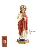 Imagen del producto 8435266005322