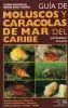 Imagen del producto 9278492312296