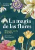 Imagen del producto 9788411722544