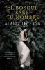Imagen del producto 9788413143217