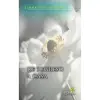 Imagen del producto 9788418303616