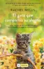 Imagen del producto 9788419521590