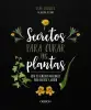 Imagen del producto 9788441547162