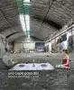 Imagen del producto 9788444103563
