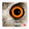 Imagen del producto 9788467537833