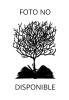 Imagen del producto 9788486524555