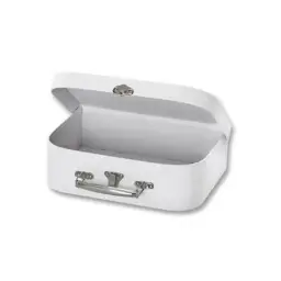 Imagen del producto 1000000005028