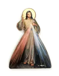 Imagen del producto 1000150000829