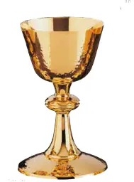 Imagen del producto 1000150000911