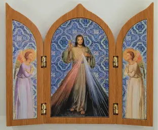 Imagen del producto 1000150002496