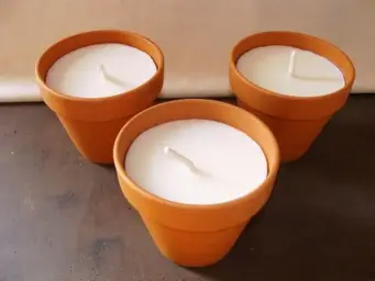 Imagen del producto 1000150054419