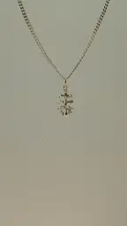 Imagen del producto 1000150071294