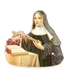 Imagen del producto 1000150100703