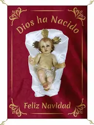 Imagen del producto 1000150136894