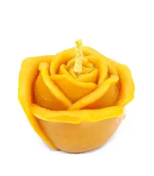 Imagen del producto 1000150173486