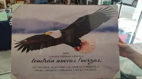 Imagen del producto 1009280004080