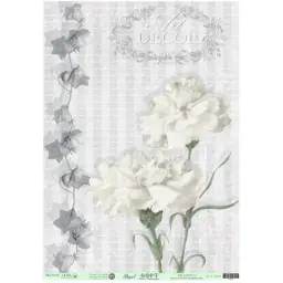 Imagen del producto 1026860004346