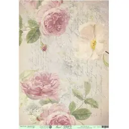 Imagen del producto 1026860004384