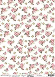 Imagen del producto 1026860004483