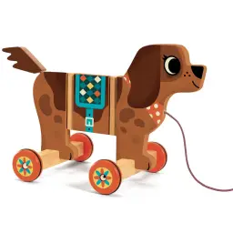 Imagen del producto 3070900062474