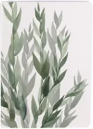 Imagen del producto 3329681156774