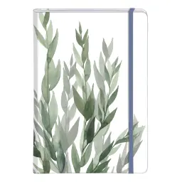 Imagen del producto 3329681156873