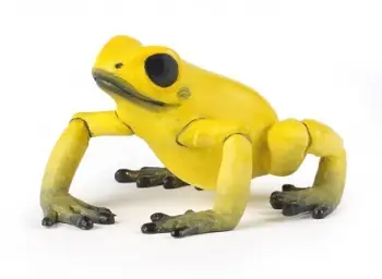 3465000501747