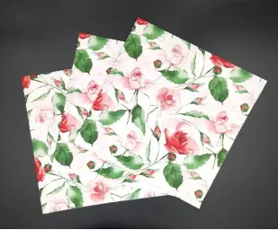 Imagen del producto 4065657001448