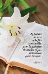 Imagen del producto 614042003976