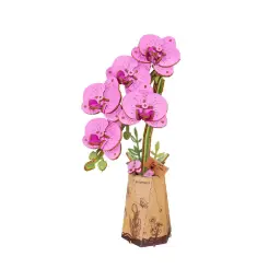 Imagen del producto 6946785124262