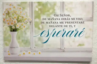 Imagen del producto 723592073749