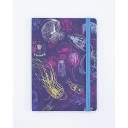 Imagen del producto 7420428832268