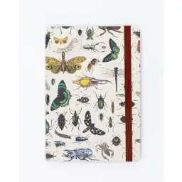 Imagen del producto 7420428879966