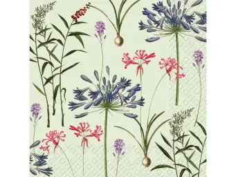 Imagen del producto 7630050838068