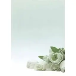 Imagen del producto 8410782121268