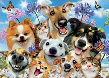 Imagen del producto 8412668179837