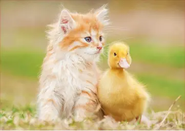 Imagen del producto 8412668184671