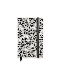 Imagen del producto 8422593080122