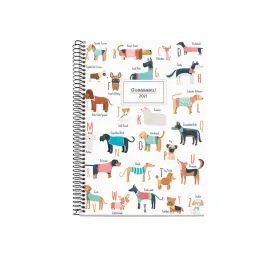 Imagen del producto 8422593340370