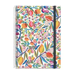 Imagen del producto 8422593341216