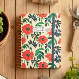 Imagen del producto 8422593345405