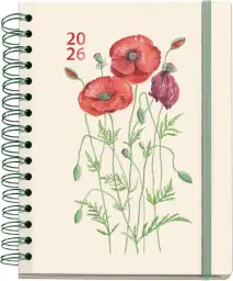 Imagen del producto 8422593345788