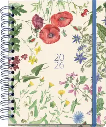 Imagen del producto 8422593345818