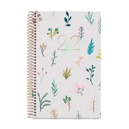 Imagen del producto 8422593380529