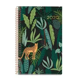 Imagen del producto 8422593381311